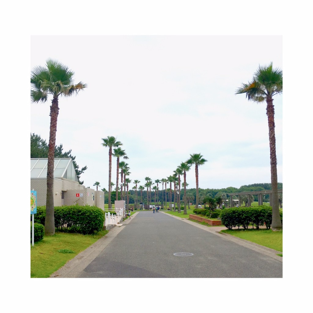 湘南で撮影